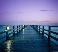 bridge, purpple wallpaper