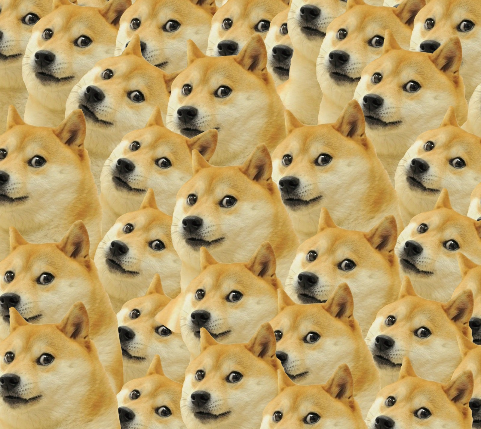 doge, memes, pattern wallpaper