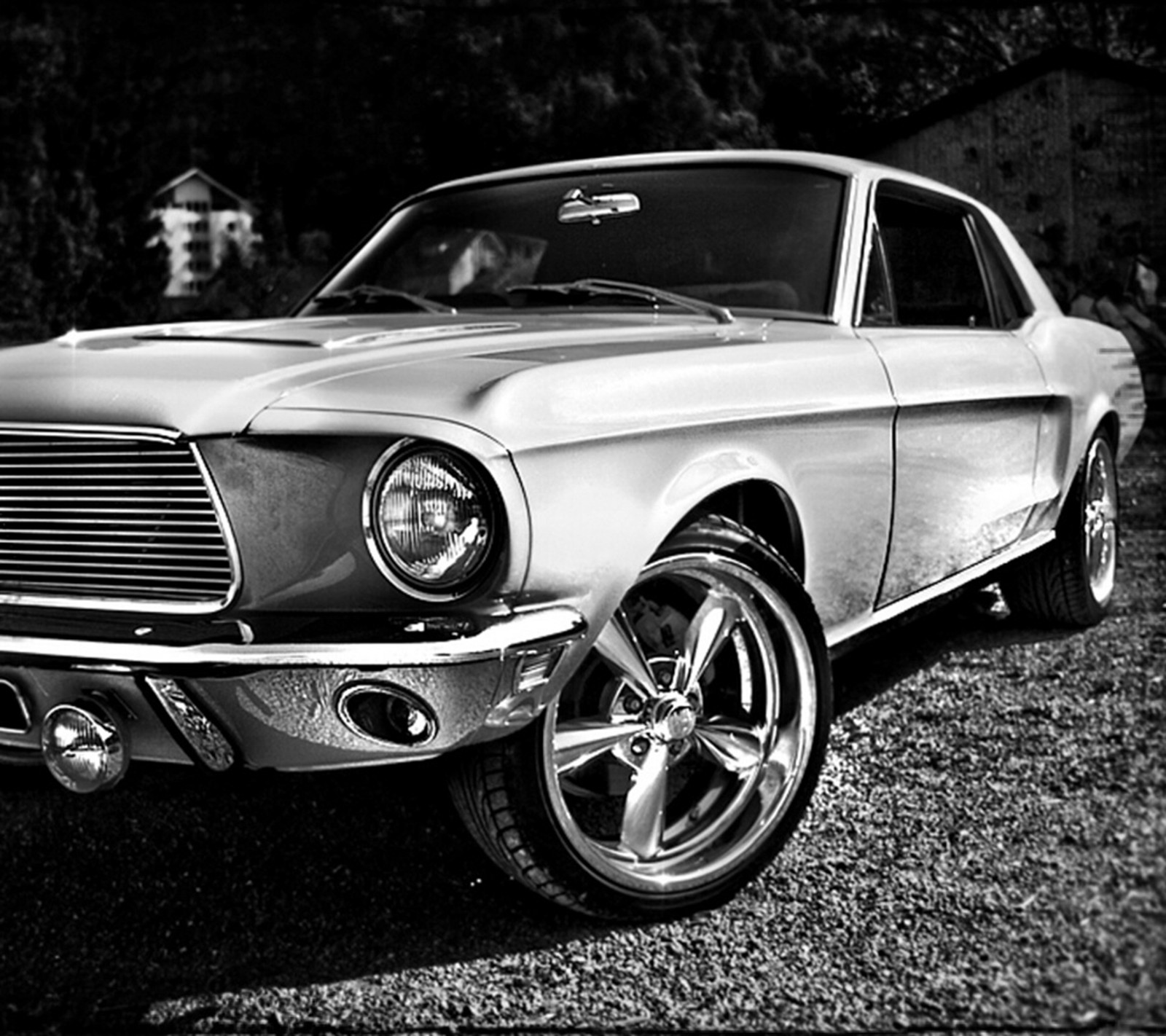 Mustang árabe en blanco y negro con un fondo blanco (coche, clásico, genial, mustang, nuevo)