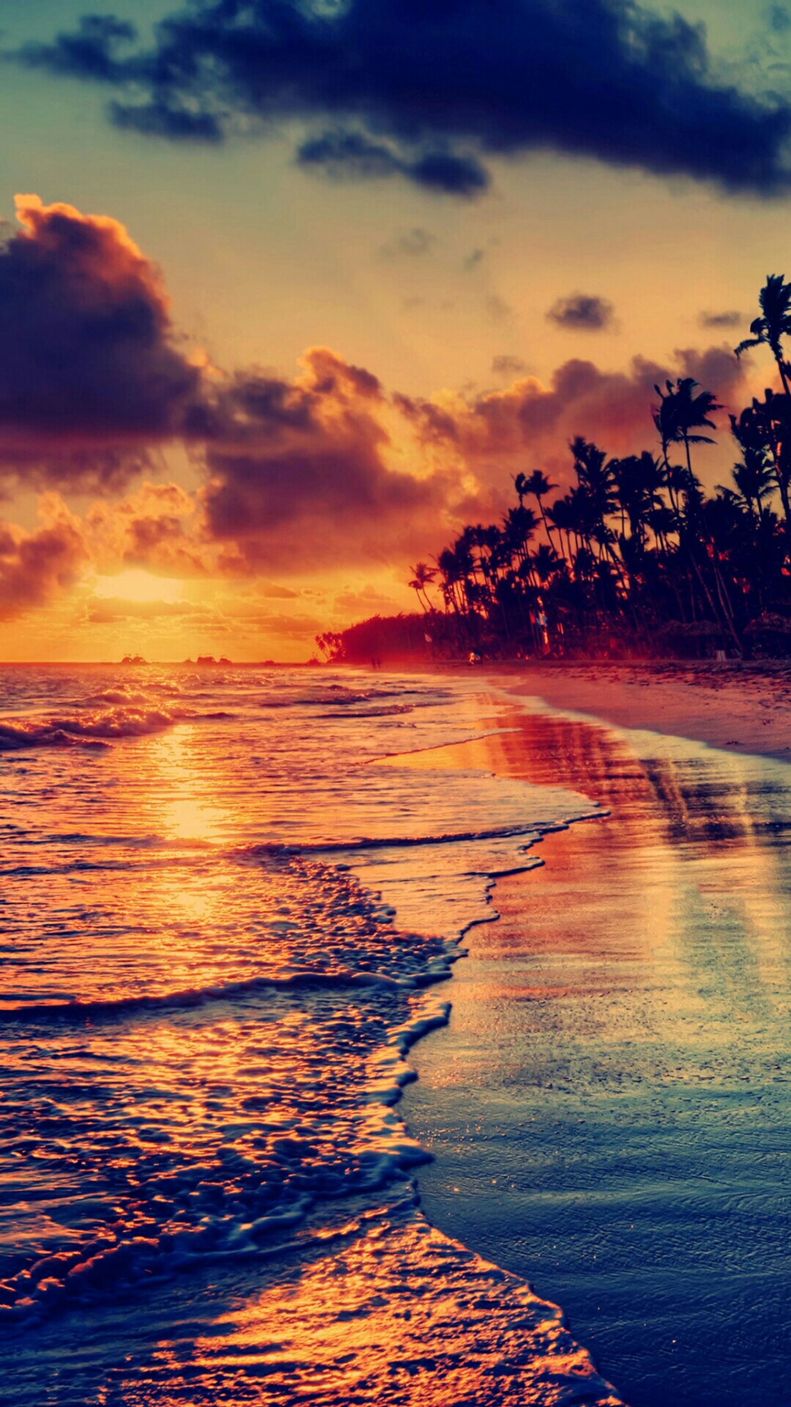 Sunset on a tropical beach with palm trees and waves (color, hd abstract, magic)