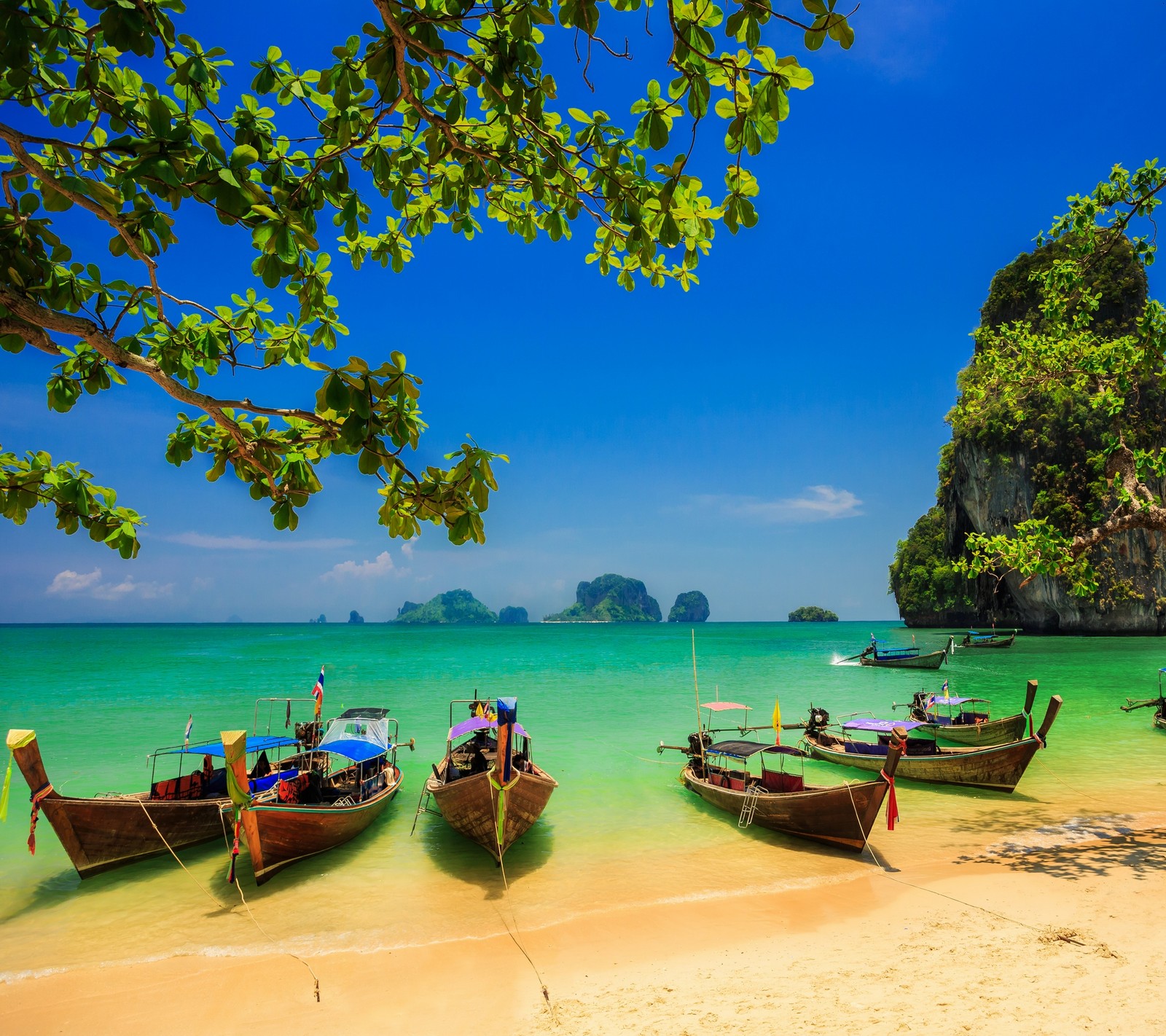 Barcos estão estacionados na praia perto da água e de uma árvore (praia, barcos, verde, ilha, natureza)