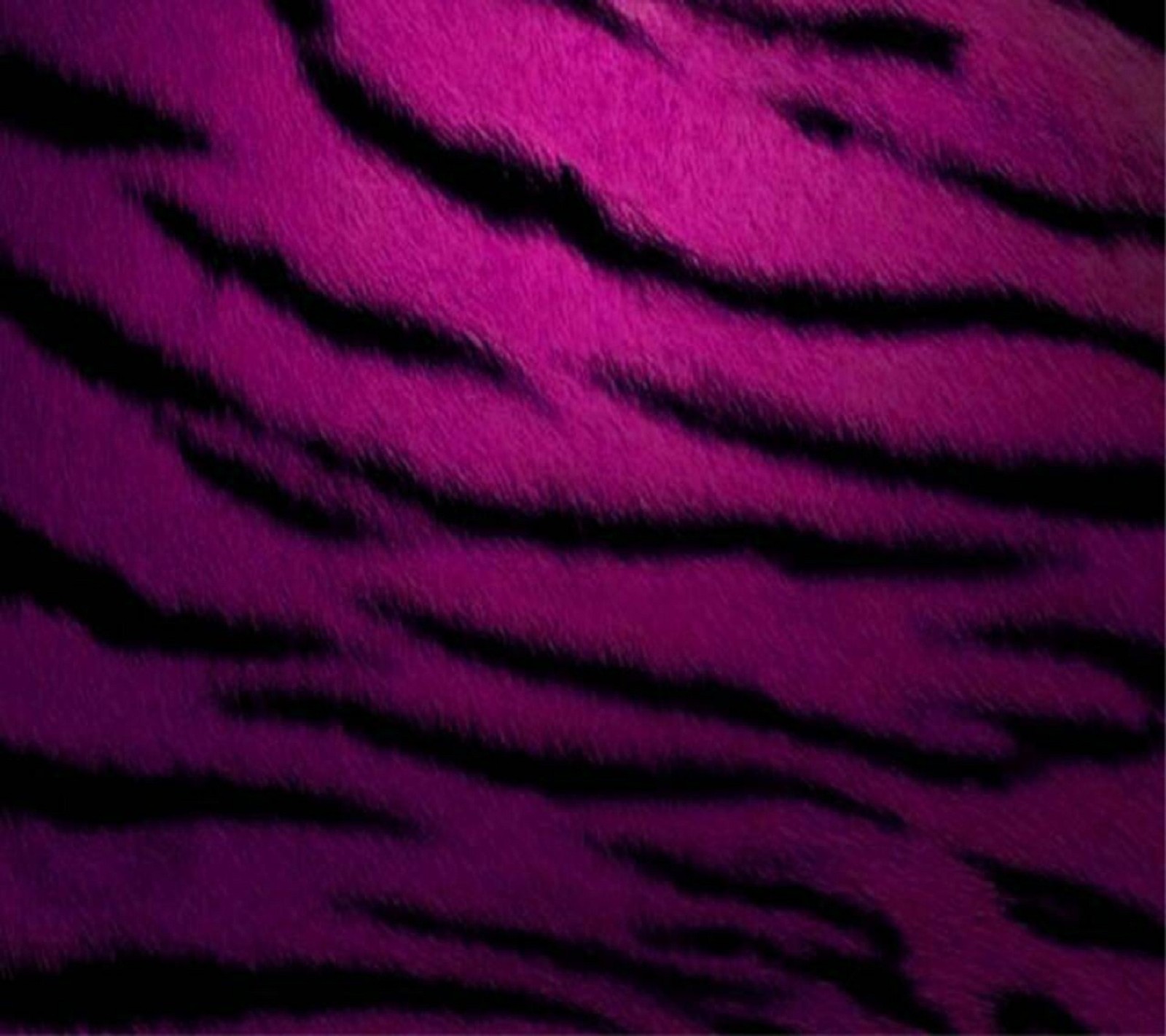 Purple and black zebra print wallpaper with a black background (purple, zebra)