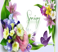 Download spring, wallpaper for free