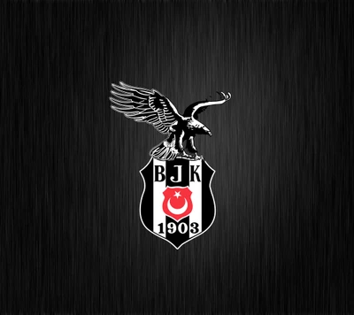 besiktas, bjk, black eagle, karakartal