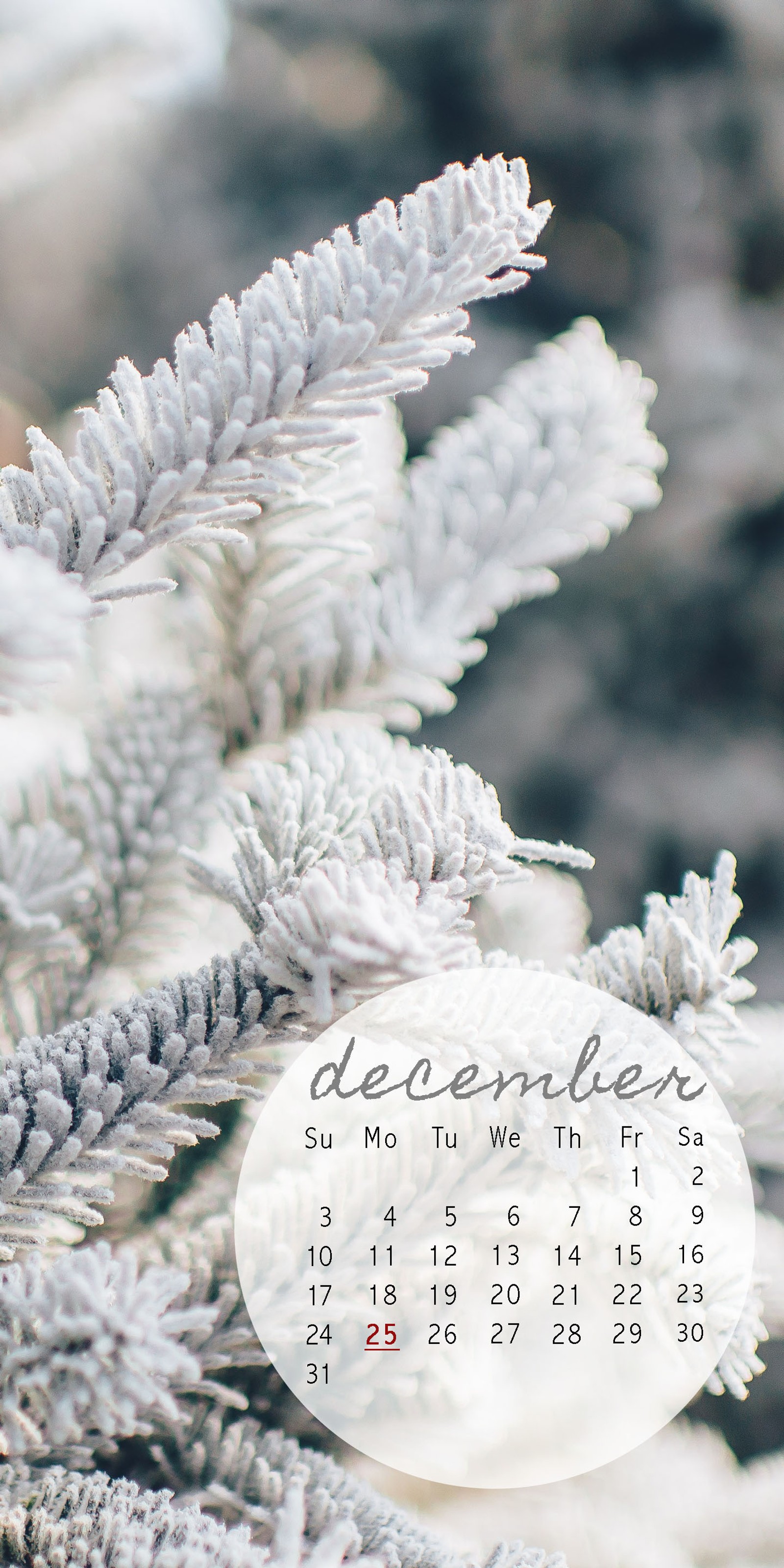 calendar, christmas, december Download Wallpaper