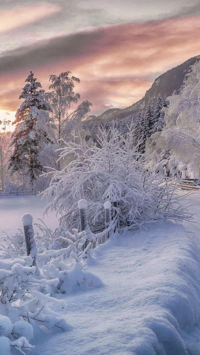 beeindruckend, schönheit, berge, natur, nett