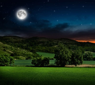 Lune lumineuse sur des champs verts et des arbres sereins