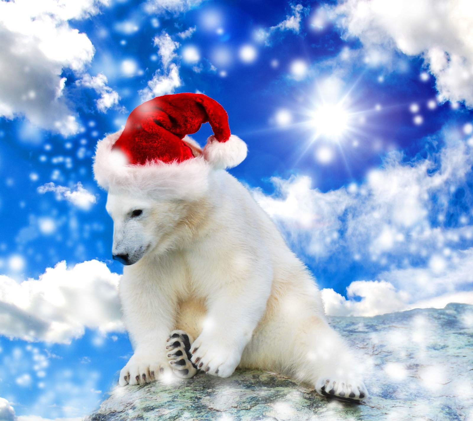 Um urso polar usando um chapéu de natal em uma pedra (natal, nuvens de neve no céu, white polar bear)