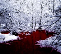 lake, red, snow, white wallpaper