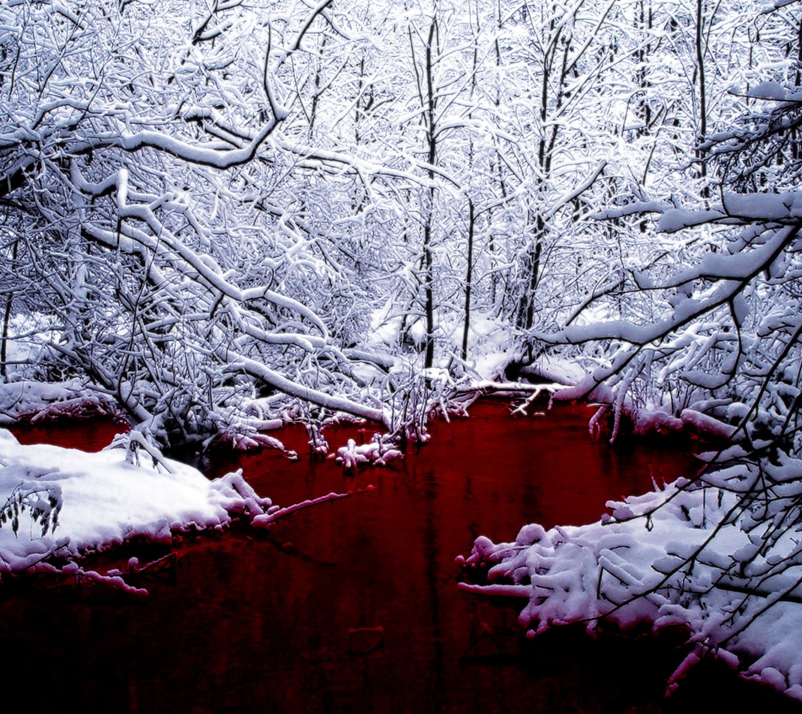 Baixar papel de parede lago, vermelho, neve, branco