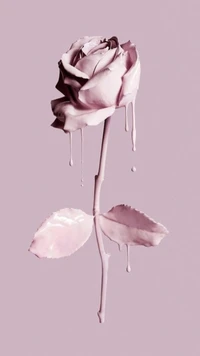 flower, paint, pastel, pink, rose wallpaper