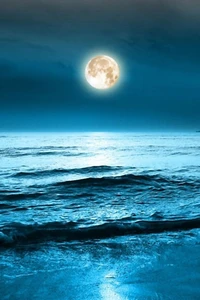 Moonlit Waves: A Serene Beach Under a Glowing Night Sky