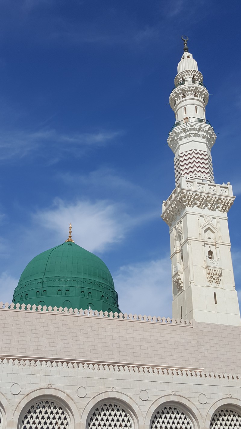 Жирафы стоят перед зеленым куполом и белым зданием (медина, madinah, масджид, masjid, roza rasool)