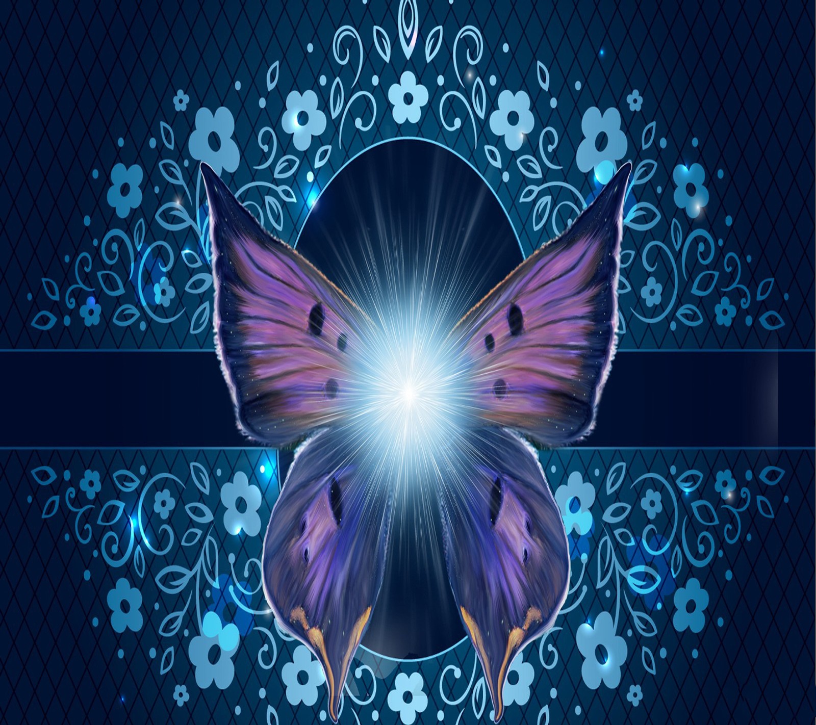 Download butterfly, wallpaper for free