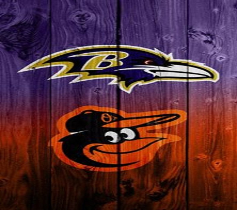 Обои baltimore ravens для iphone (балтимор, baltimore, команды)