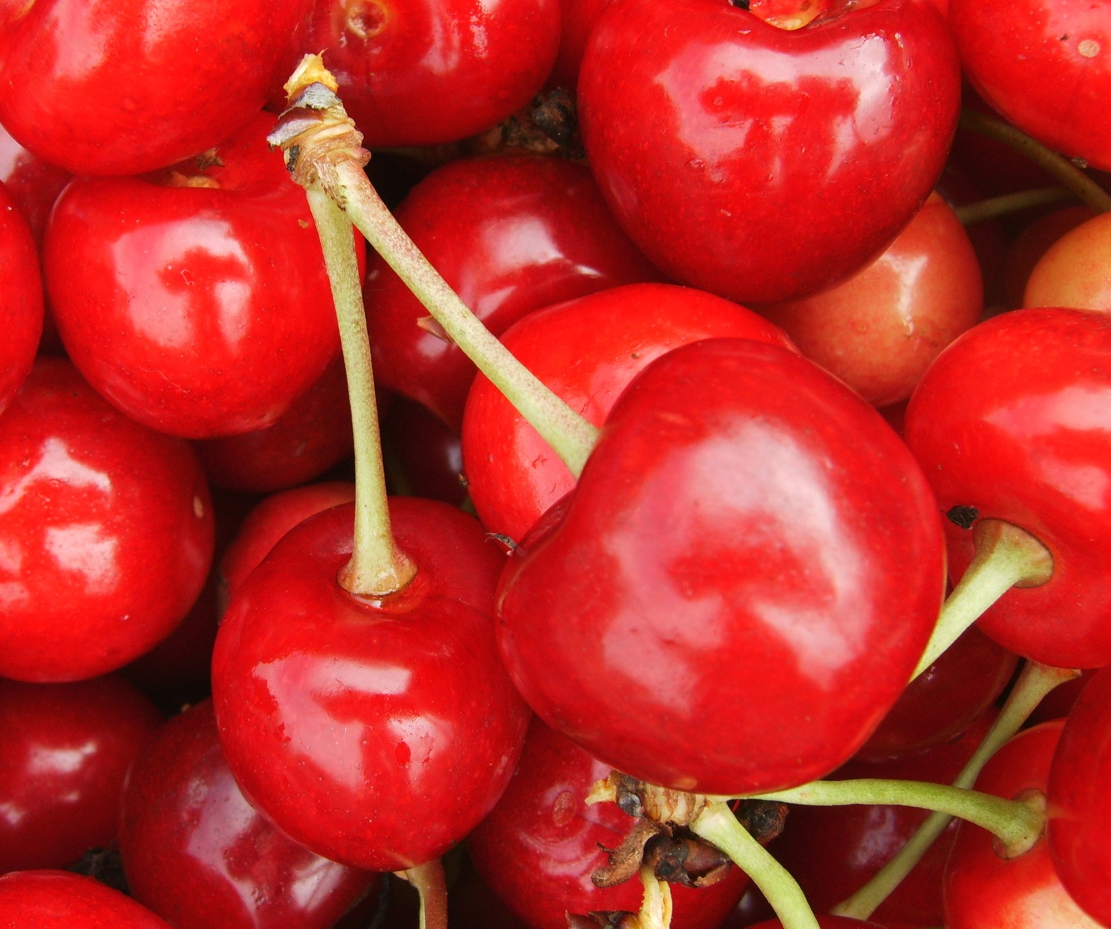 Téléchargez le fond d'écran fruit, rouge