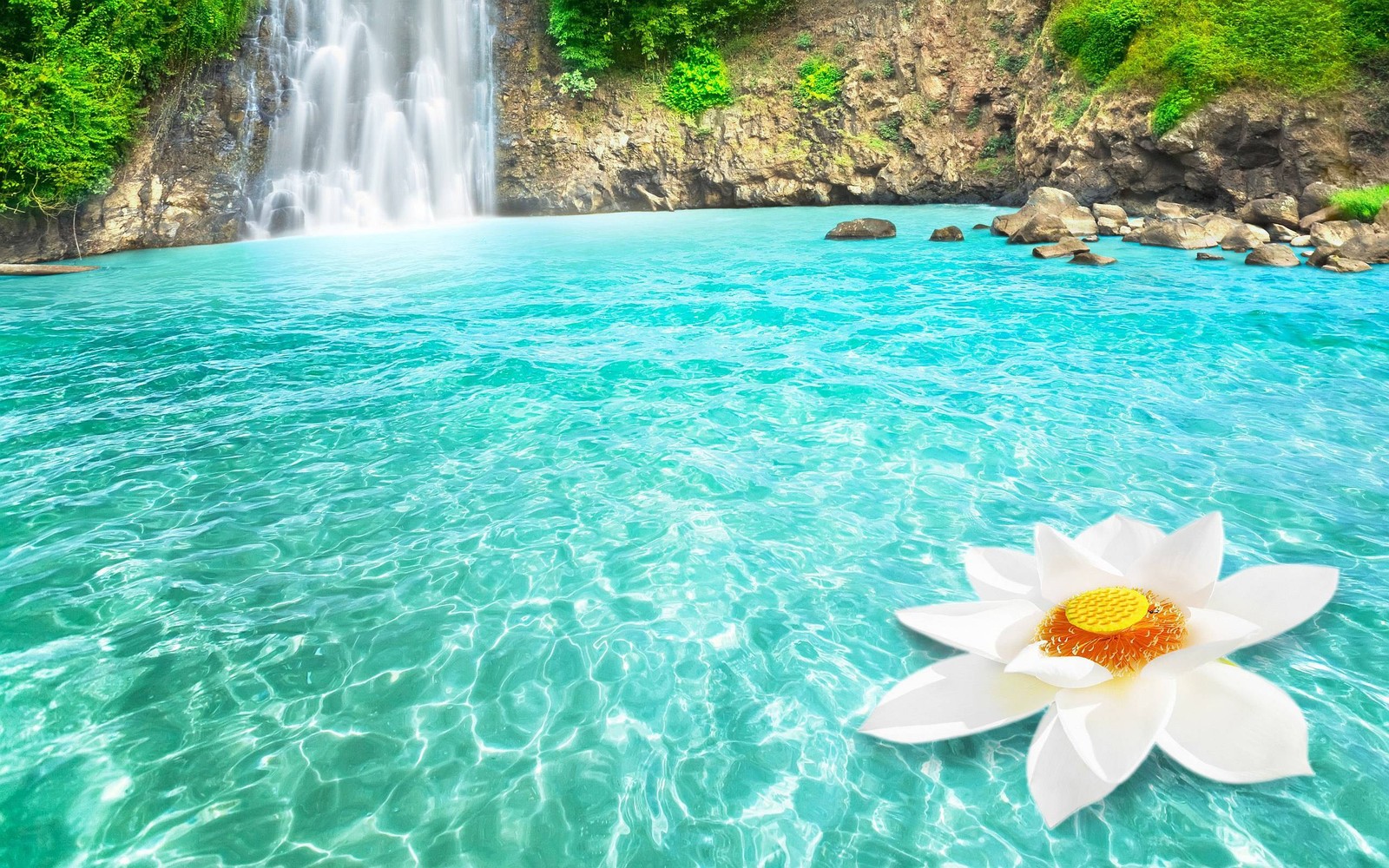 Uma flor branca flutuando no meio de um corpo de água azul (cachoeira, corpo de água, recursos hídricos, natureza, água)