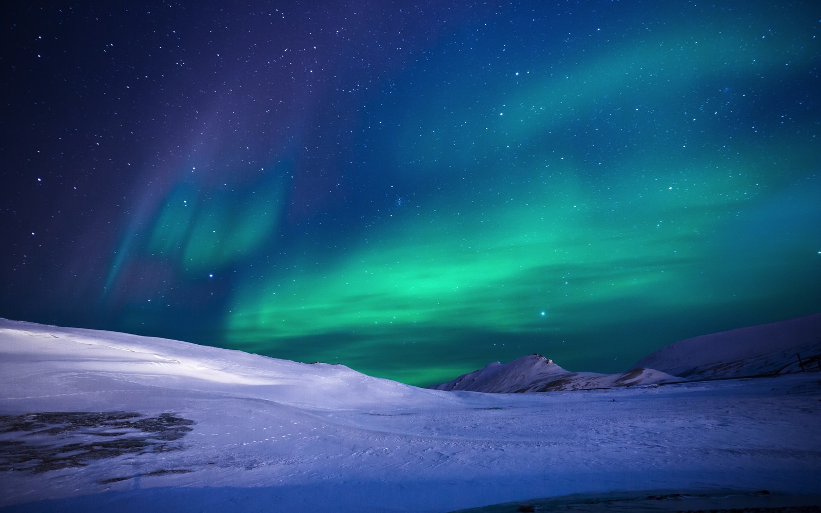 Die aurora borealis ist ein schöner grüner und lila licht im himmel (aurora, natur, atmosphäre, arktis, gefrieren)