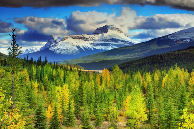 Вид на горный массив с озером и деревьями (озеро морейн, банф, banff, парк, природа)