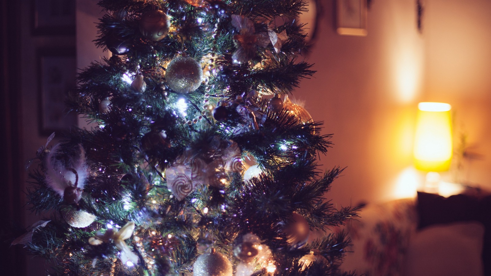 A close up of a christmas tree with lights on it (christmas day, christmas tree, tree, christmas, christmas decoration)