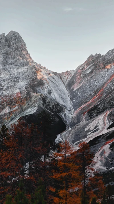 Vibrante naturaleza salvaje de las tierras altas: majestuosas laderas montañosas y árboles de alerce en un terreno cubierto de nieve