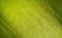 vert, couleur, texture, jaune, feuille