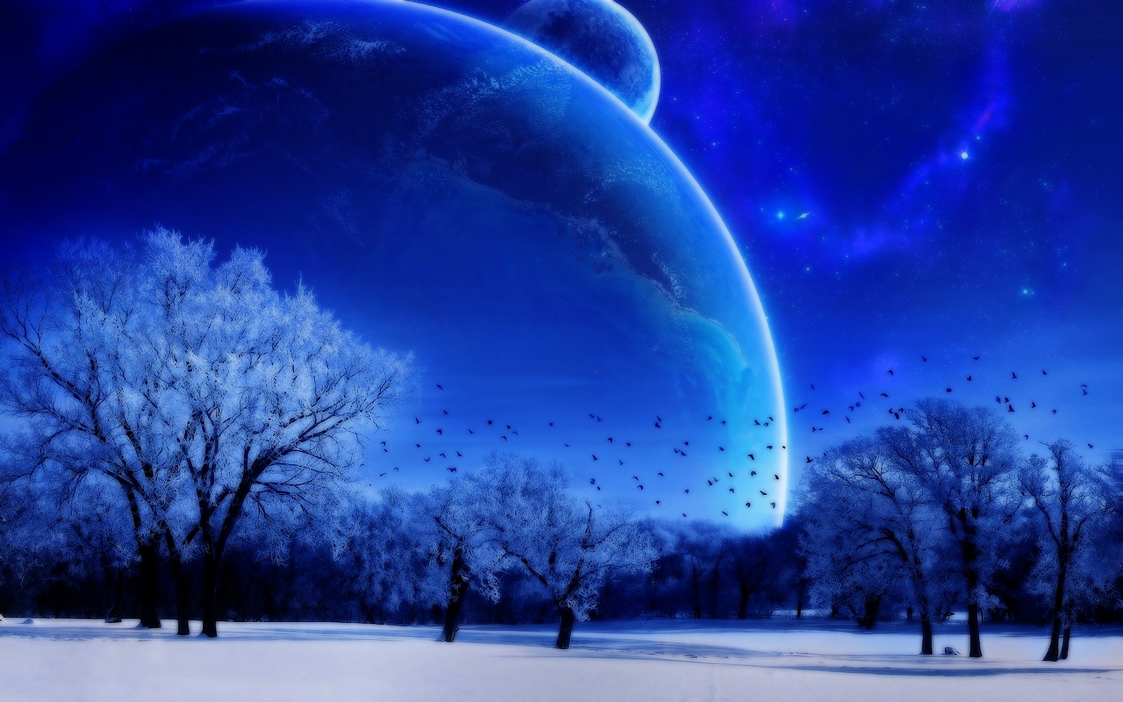 winter, nature, atmosphere, freezing, night wallpaper