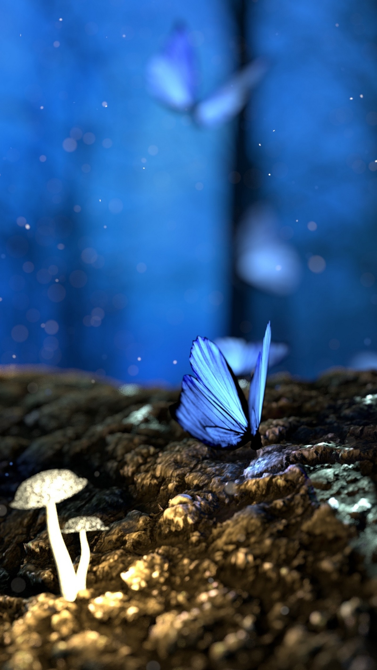 Lade insekt, atmosphäre, licht, flüssigkeit, schmetterling Hintergrund herunter