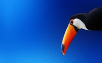 Toucan vibrant contre un ciel bleu profond