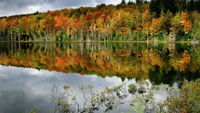 Reflets d'automne : Une tapisserie vibrante de couleurs dans le miroir de la nature