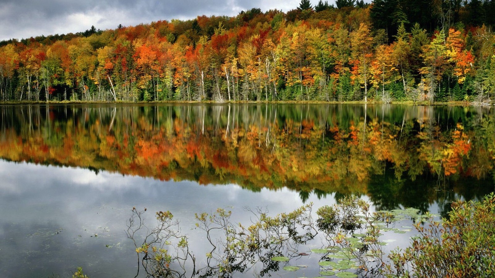 Bäume ändern im herbst die farben an einem see (reflexion, natur, gewässer, blatt, herbst)