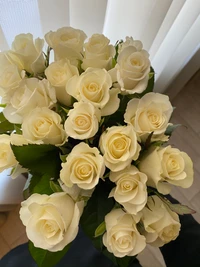 Elegant White Rose Bouquet for Weddings and Floral Arrangements