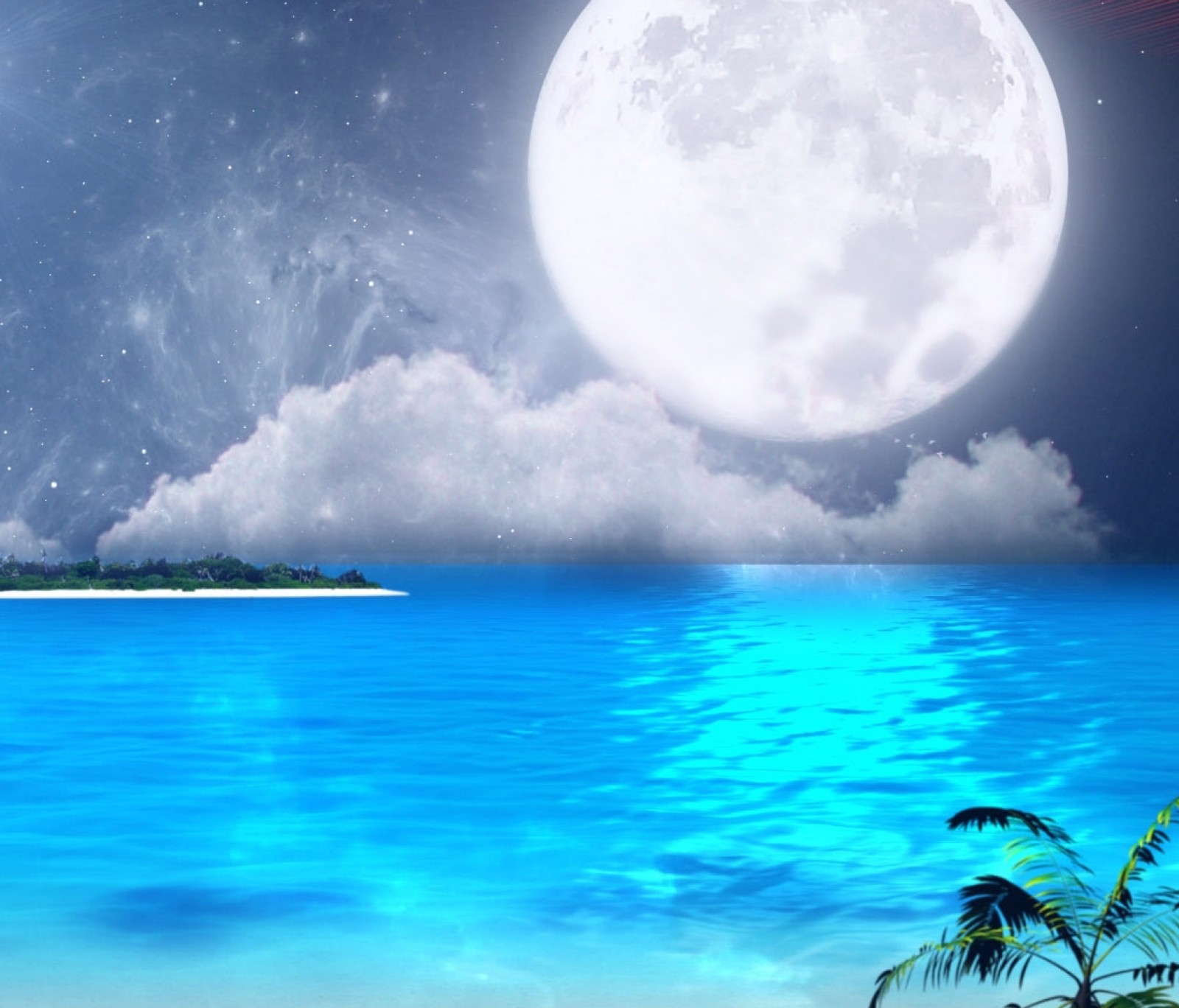 Arafed view of a beach with a full moon and palm trees (beach, moon, nature)