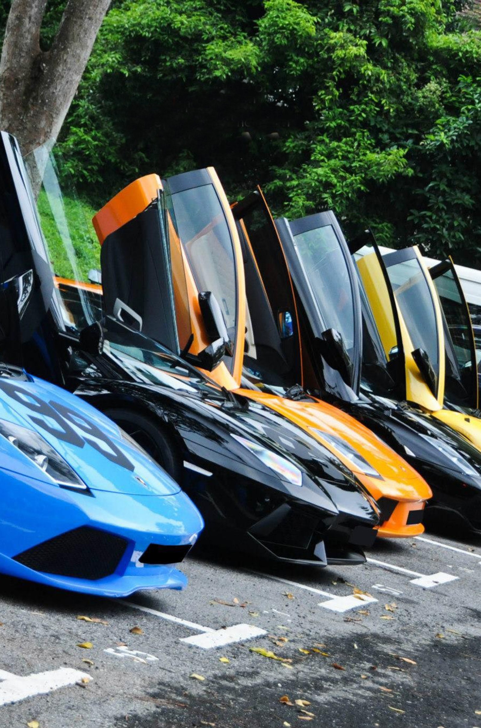 Vários carros estacionados em fila em um estacionamento (carros, lamborghini, legal)