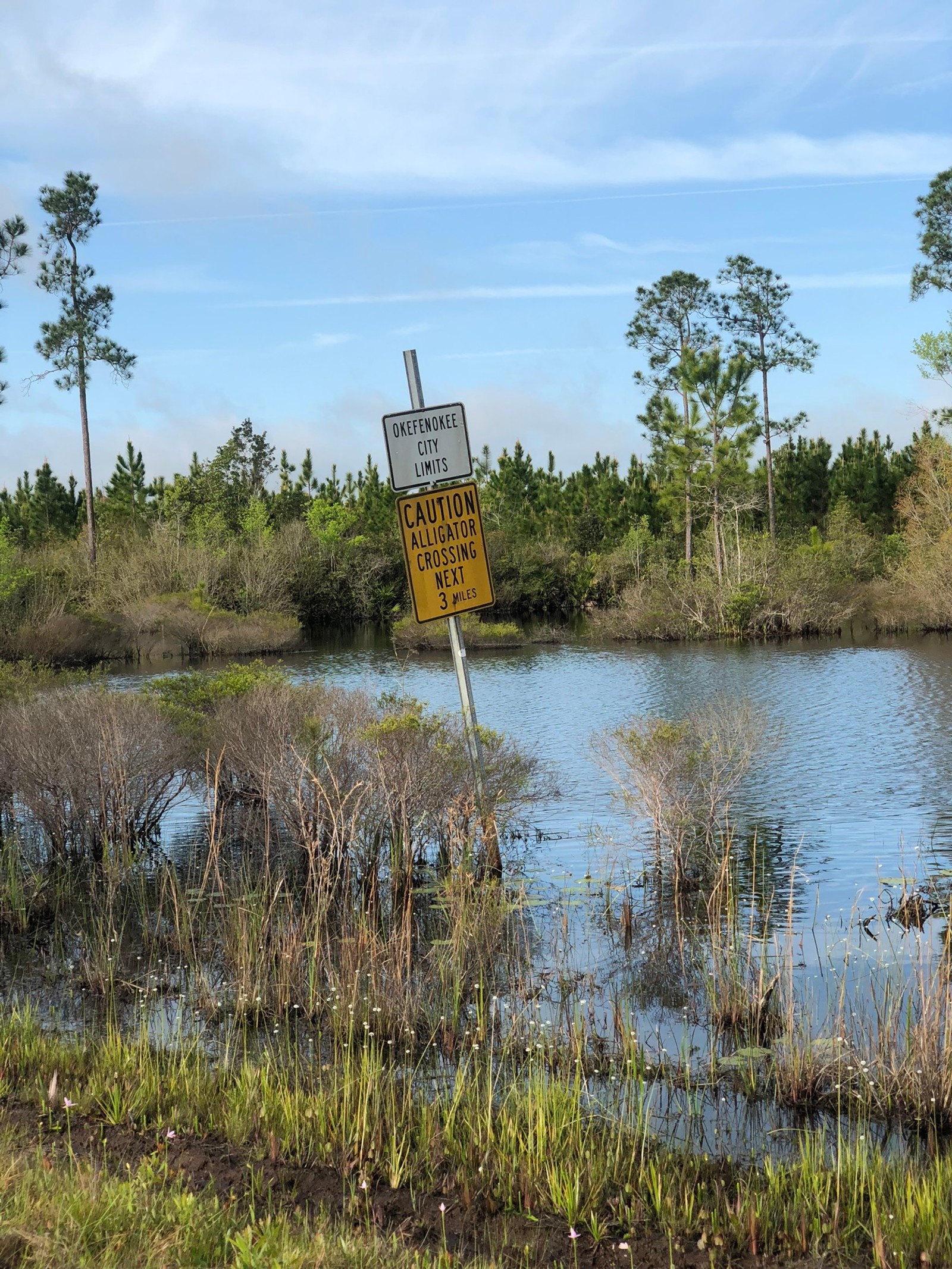 Ein schild, das sich mitten in einem see befindet (naturschutzgebiet, vegetation, naturumgebung, natürliche landschaft, feuchtgebiet)