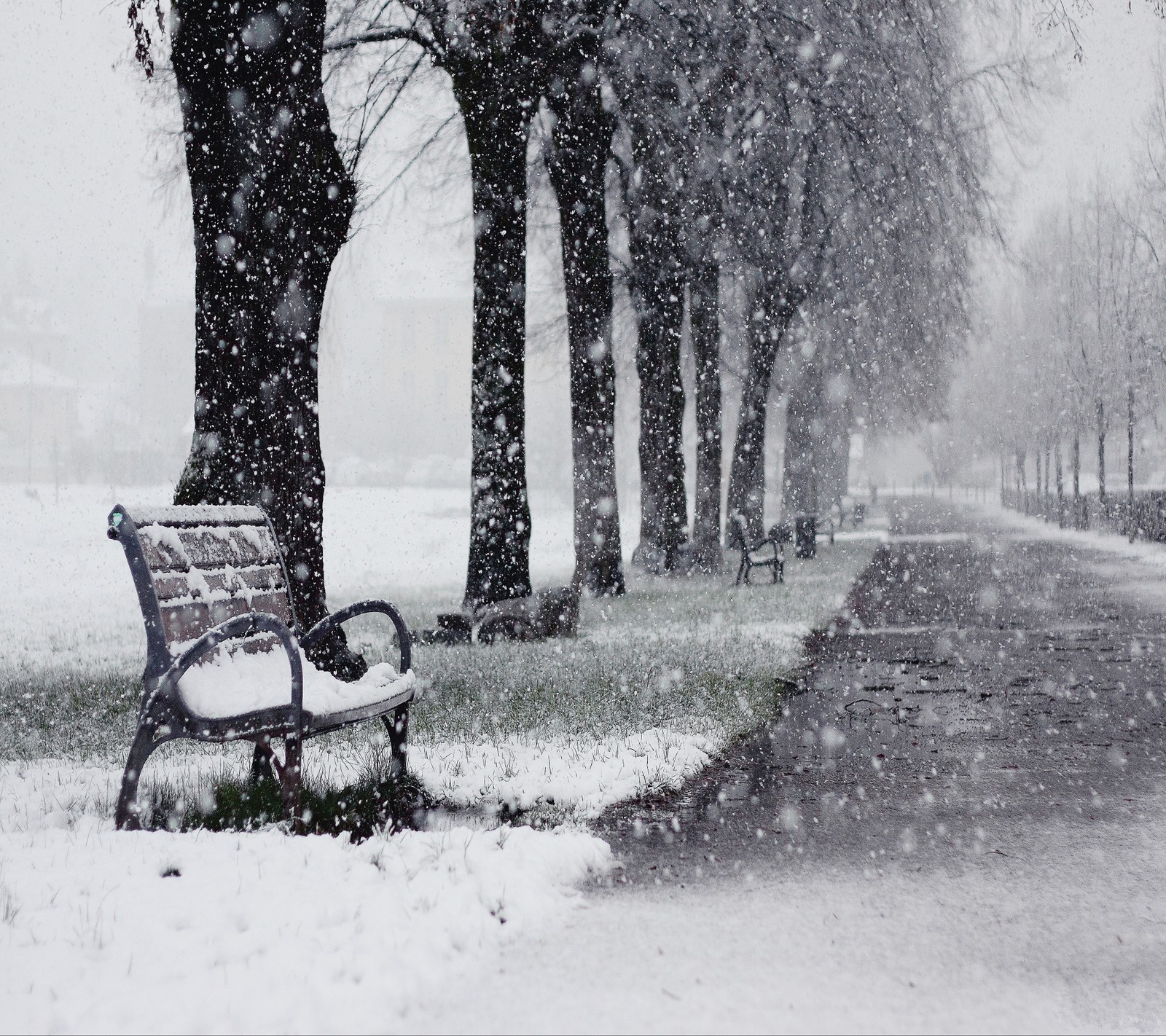 Eine schneebedeckte parkbank inmitten von bäumen (romantisch, winter)