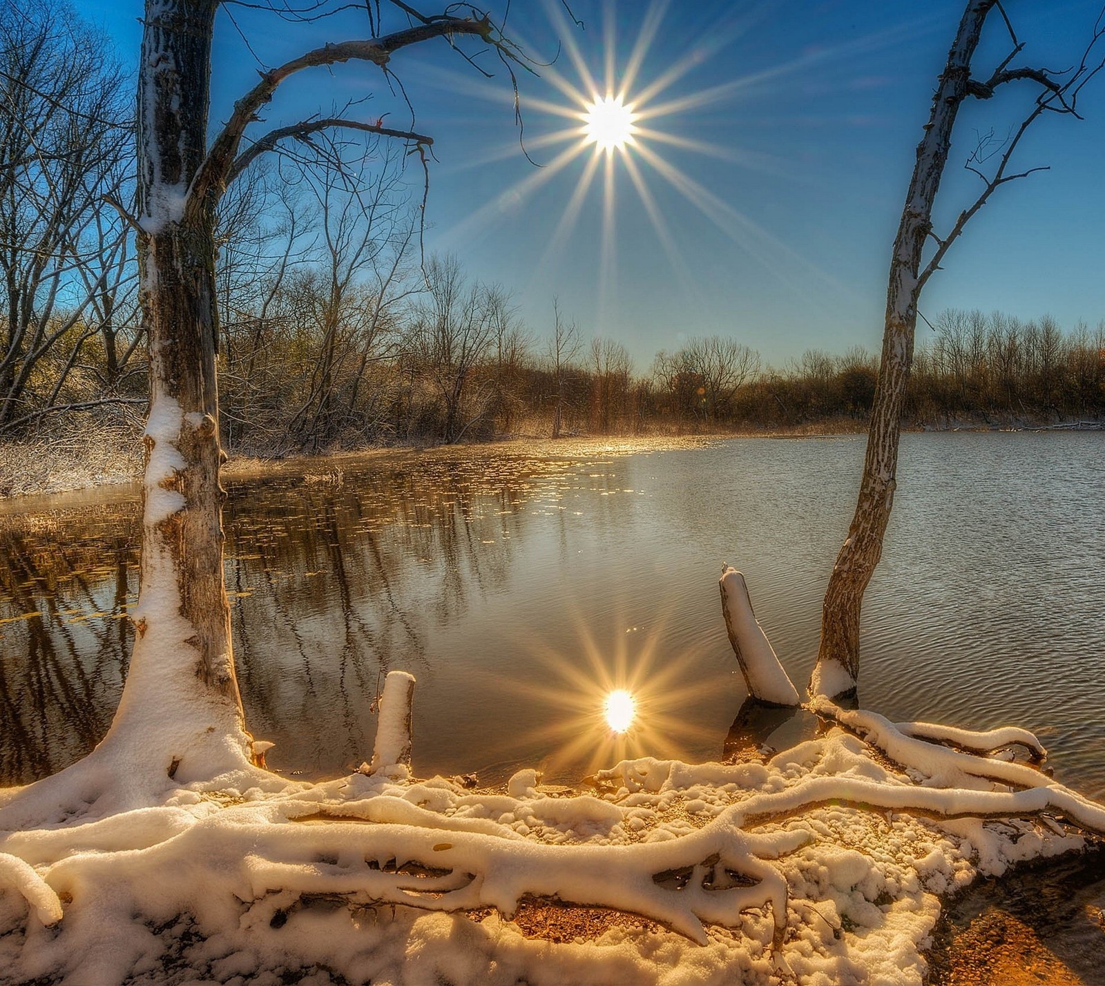 Blick auf einen see mit schnee auf dem boden und bäumen (frozen, landschaft, natur, schnee, sonne)