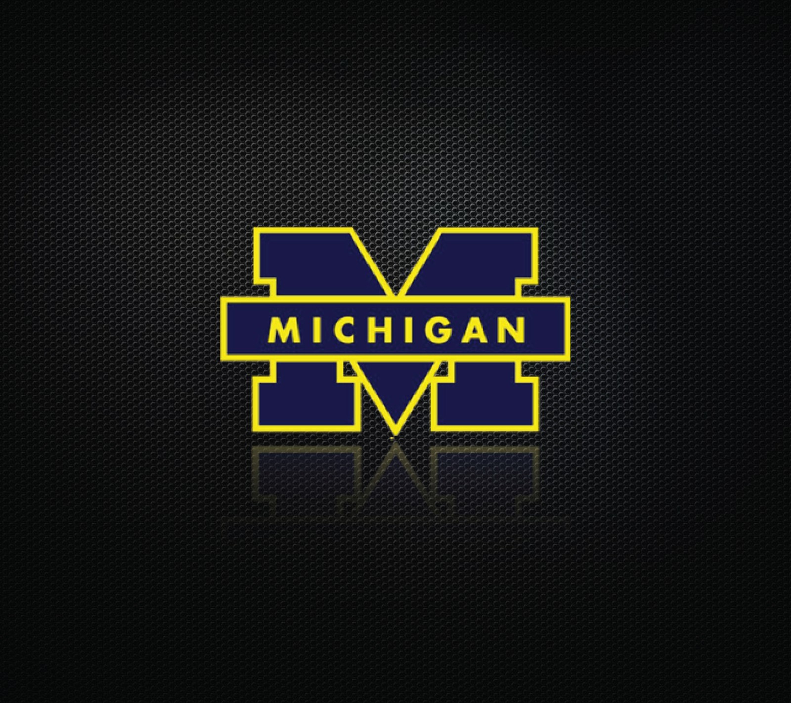 Lade big 10, fußball, michigan, michigan football, wolverine Hintergrund herunter