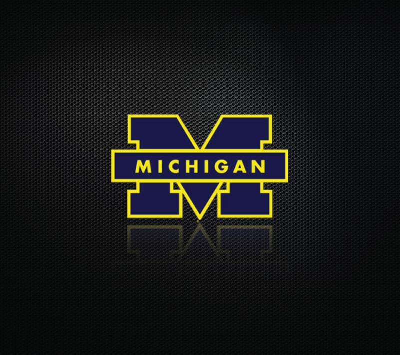 Обои michigan wolverines обои michigan wolverines обои michigan wolverines (big 10, футбол, мичиган, michigan, michigan football)