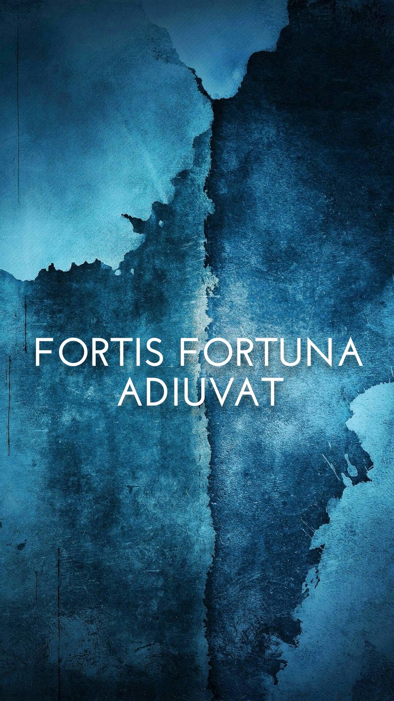 Близкий план синей треснутой стены с надписью fortis fortuna adjuvat (джон уик, john wick, русский)