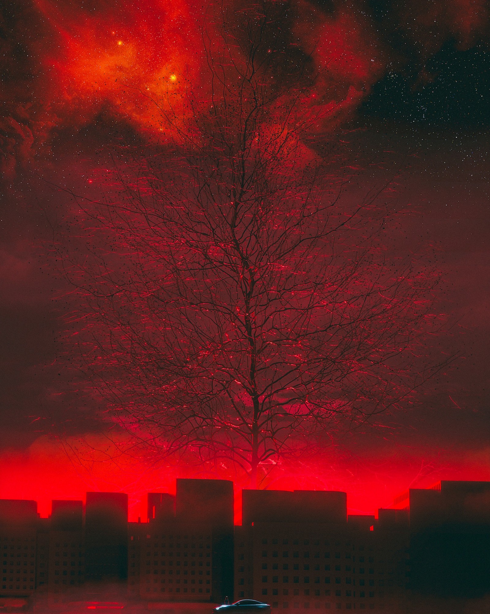 Un arbre solitaire au milieu d'une ville la nuit (rouge, arbre, nuit, branche, ramification)