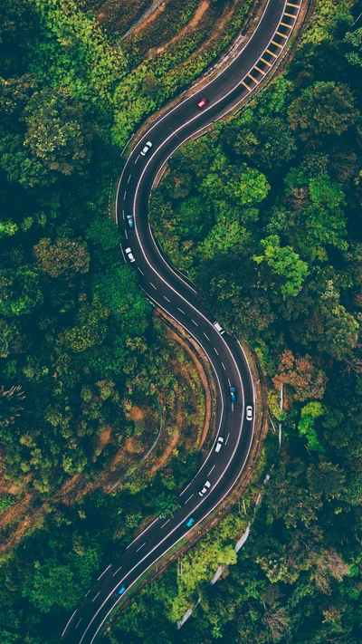 Estrada sinuosa através de uma paisagem florestal exuberante