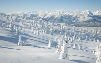 montagne, neige, hiver, chaîne de montagnes, formes montagneuses