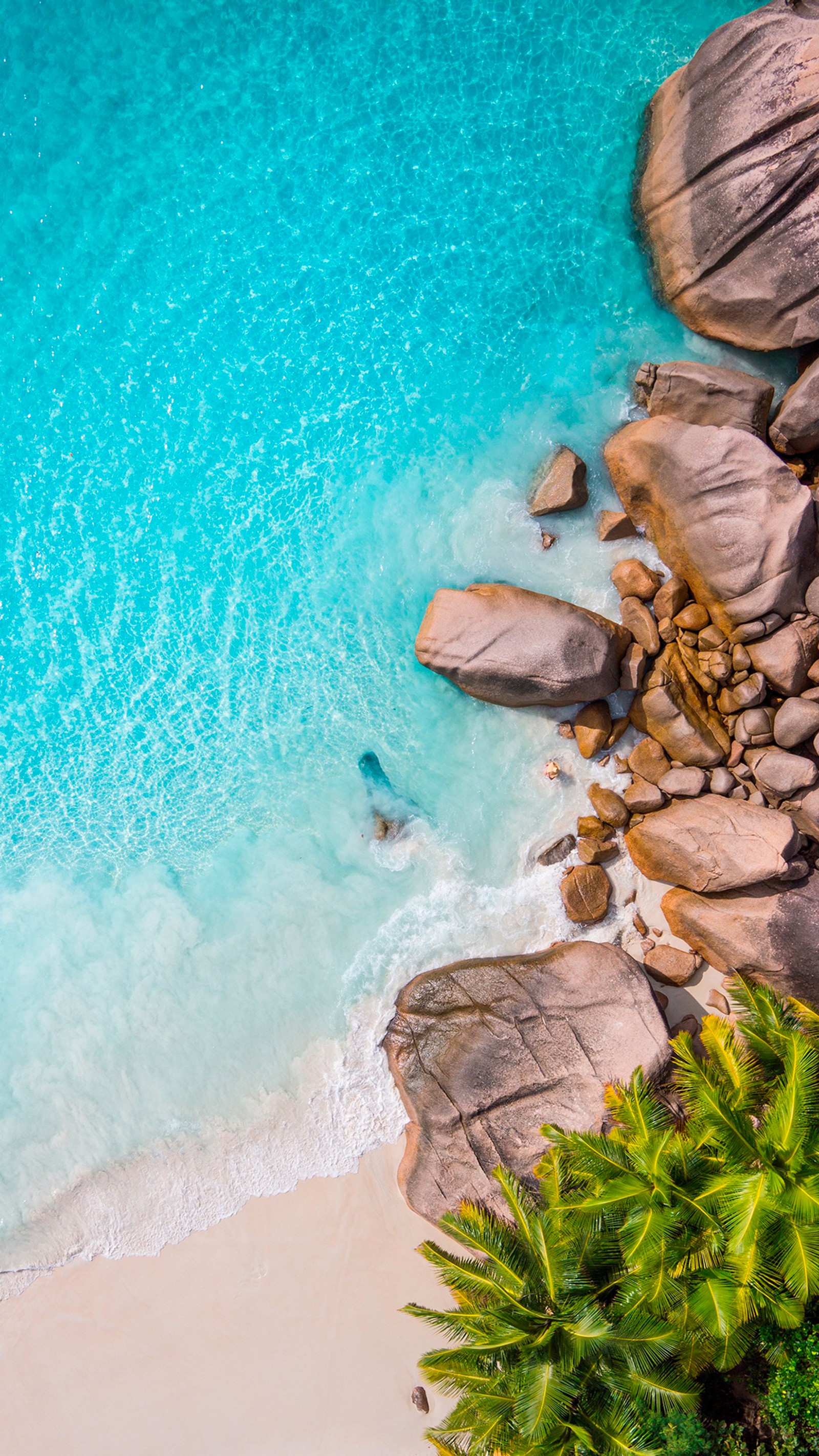 Descargar fondo de pantalla manzanas, cuerpo de agua, orilla, aqua, verde azulado