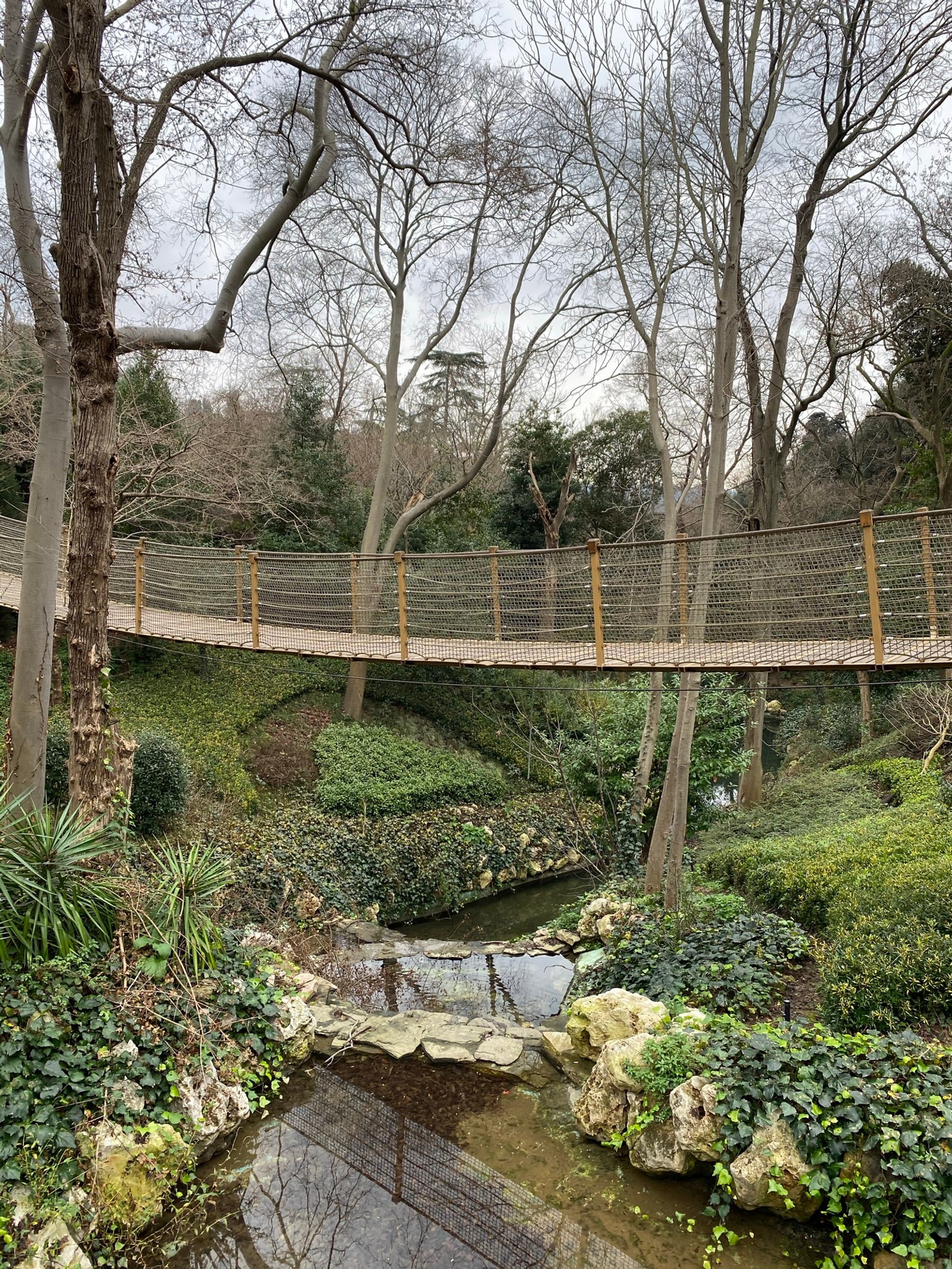 Il y a une vue sur un pont au-dessus d'un petit ruisseau dans un parc (eau, biologie, science, plante, arbre)