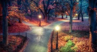 central park, new york city, autumn leaves, path, night wallpaper