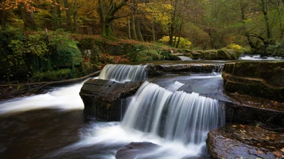 Seren Wasserfall, der durch üppiges Grün fließt