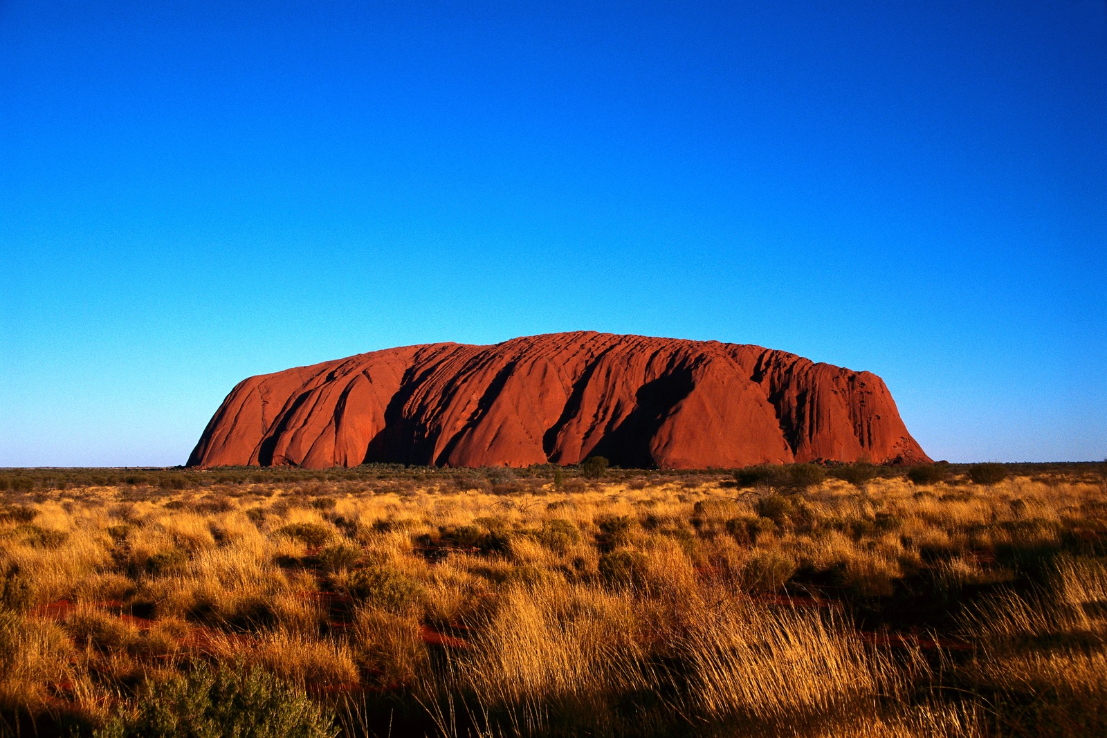 Крупный план большого камня посреди поля (улуру, uluru, внутренние районы австралии, природный пейзаж, природа)