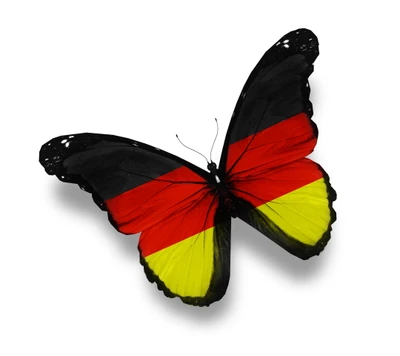 German Flag Butterfly: A Bright Fusion of Black, Red, and Yellow Wings