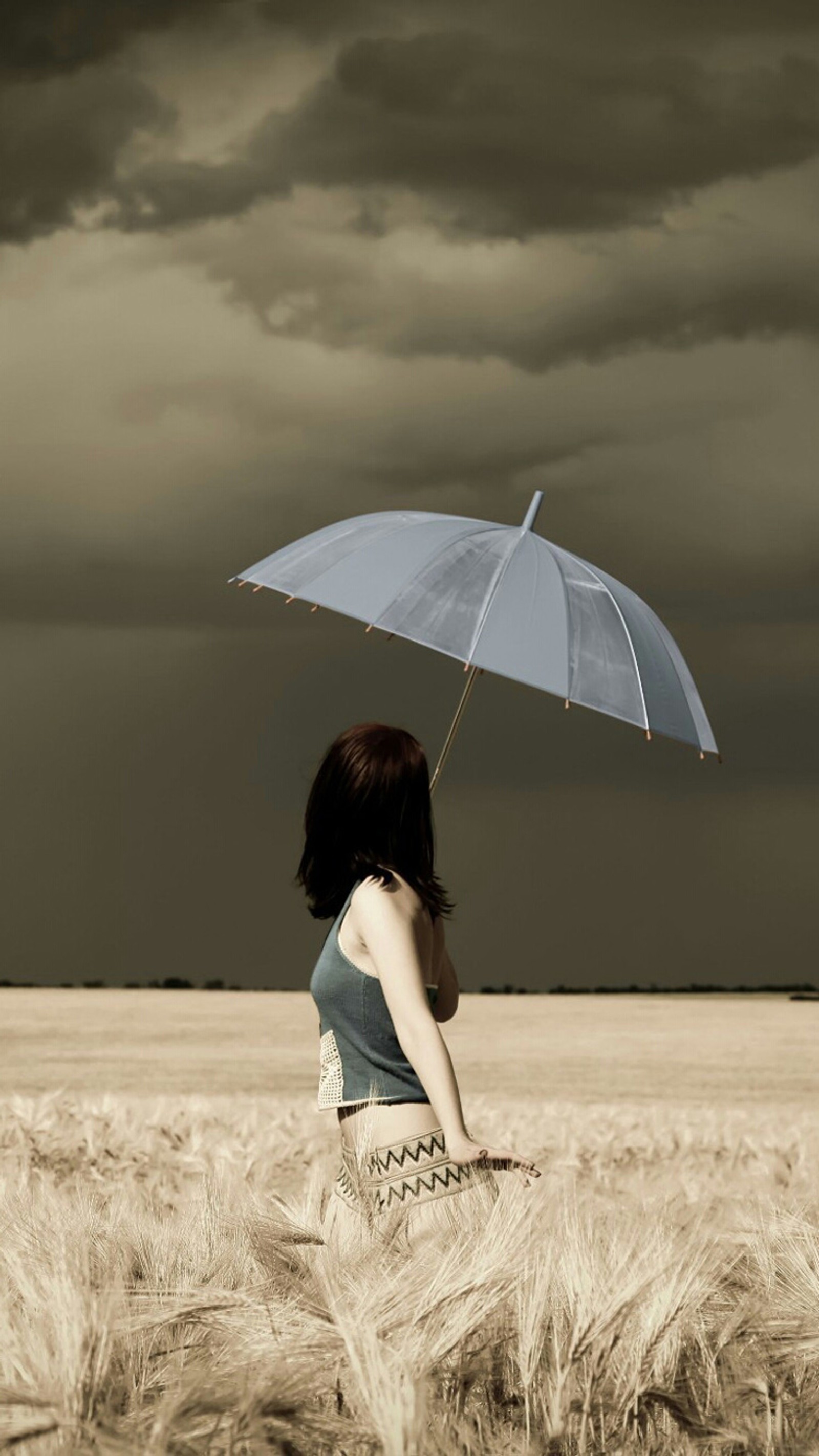 Une femme debout dans un champ tenant un parapluie (nuageux, fille, gens, parapluie, météo)